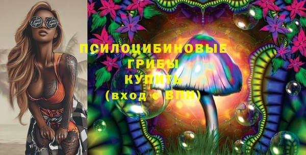 хмурый Алексеевка