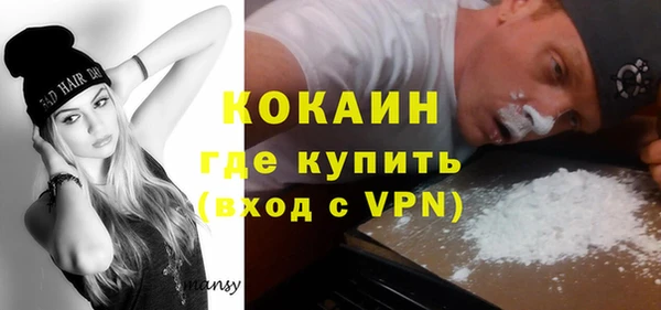 хмурый Алексин
