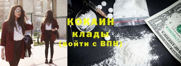 хмурый Алексин