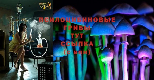 хмурый Алексеевка