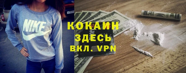 хмурый Алексин