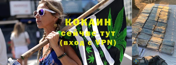 хмурый Алексин