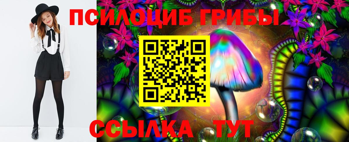 Псилоцибиновые грибы Psilocybe Усинск